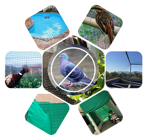 SK Safety Nets Bangalore