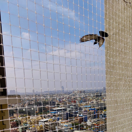 Pigeon Safety Nets