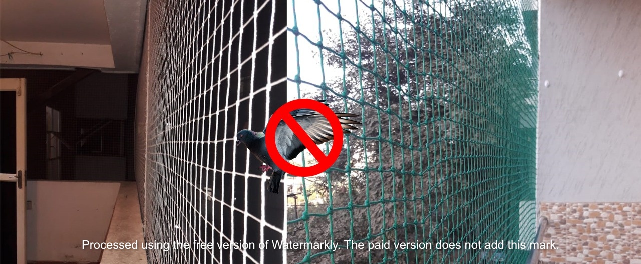 Bird Protection Nets in Bangalore